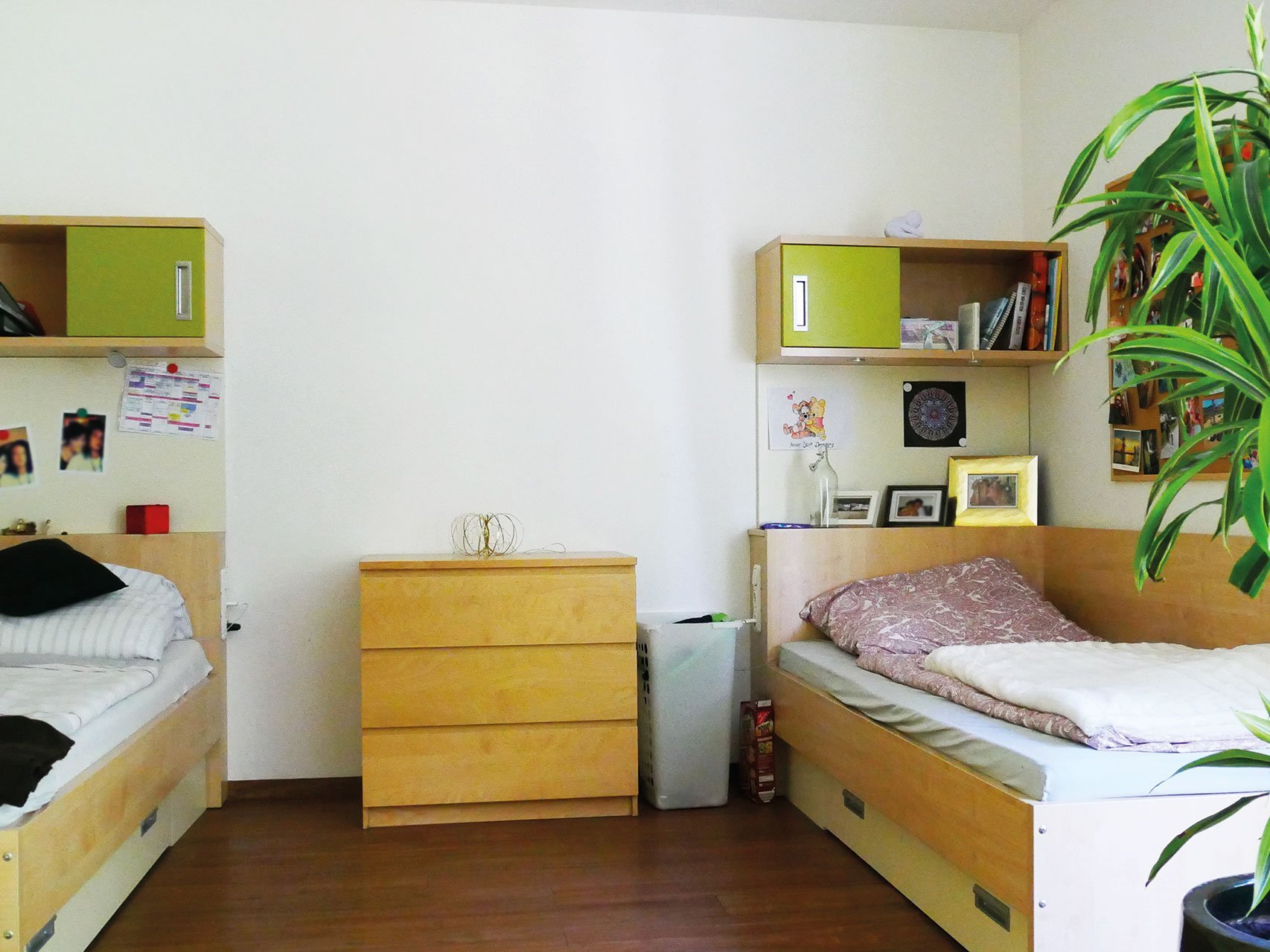 Bewohnerzimmer: Doppelzimmer mit zwei Betten, Zierpflanze und Regalen - in mintgrün