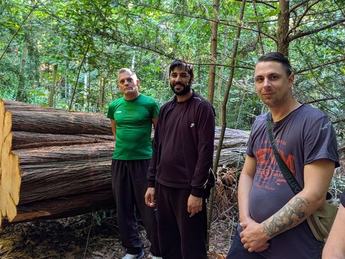 Drei Männer stehen nebeneinander in einem Wald. Im Hintergrund liegt ein großer, gefällter Baumstamm. Der Mann links trägt ein grünes T-Shirt, der Mann in der Mitte ein dunkles Langarmshirt, und der Mann rechts ein graues T-Shirt mit sichtbarem Arm-Tattoo.